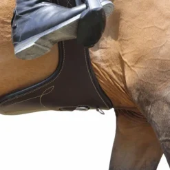 Kentucky Horsewear - Sangle bavette Marron Clearance