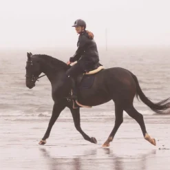 Outlet Kentucky Horsewear - Sangle bavette mouton Marron