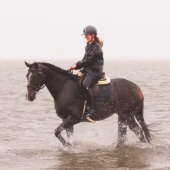 Outlet Kentucky Horsewear - Sangle bavette mouton Marron