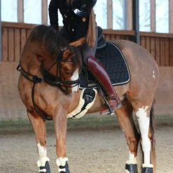 Kentucky Horsewear - Sangle courte mouton Noir Discount