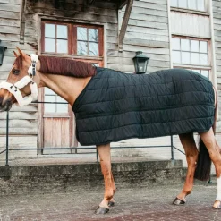Kentucky Horsewear - Sous-couverture Skin Friendly 150g Noir Outlet