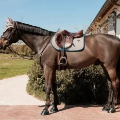 Clearance Kentucky Horsewear - Tapis de selle pied de poule / navy Bordeaux