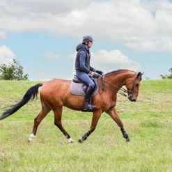 Kentucky Horsewear - Tapis de selle Laine gris GrisVarianteCheval/ Poney D / Gris - 79,99€ Clearance