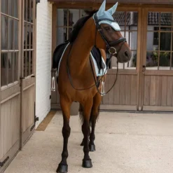 Kentucky Horsewear - Tapis de dressage Velvet Printing flags light blue Bleu Discount
