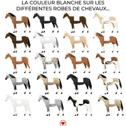 Kentucky Horsewear - Tapis de dressage Basic Blanc Online