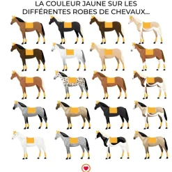 Best Kentucky Horsewear - Tapis de dressage Velvet Moutarde Jaune