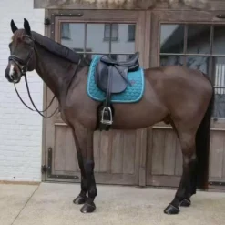 Kentucky Horsewear - Tapis de dressage Melange emeraude Vert