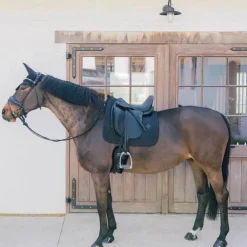 Clearance Kentucky Horsewear - Tapis de dressage Metal Chain Noir