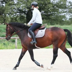 Kentucky Horsewear - Tapis de selle Basic Velvet jumping Gris Hot