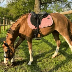 Discount Kentucky Horsewear - Tapis de selle Velvet Jumping Vieux pour minis Rose