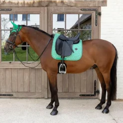 Kentucky Horsewear - Tapis de dressage Velvet Printing maze cipher / blanc Vert Best