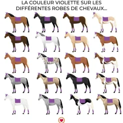 Kentucky Horsewear - Tapis de dressage velvet contrast royal Violet New