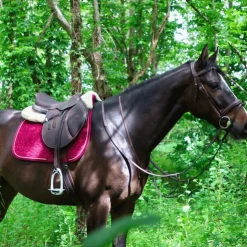 Sale Kentucky Horsewear - Tapis de selle Velvet jumping Fuchsia Rose