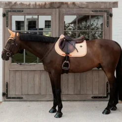 Kentucky Horsewear - Tapis de selle Velvet Printing flags Orange Clearance