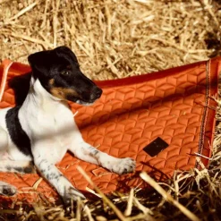 Kentucky Horsewear - Tapis de dressage Velvet Orange Sale