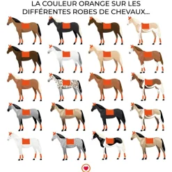 Kentucky Horsewear - Tapis de dressage Velvet Orange Sale