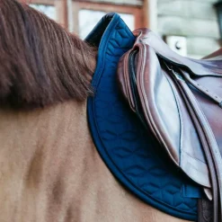 Kentucky Horsewear - Tapis de selle basic Marine Sale