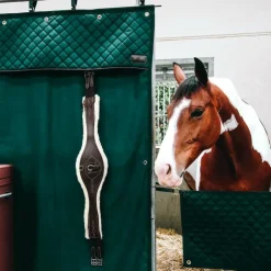 Kentucky Horsewear - Tenture de box imperméable Vert New