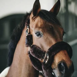 New Kentucky Horsewear - Têtière pour Licol de transport mouton Marron
