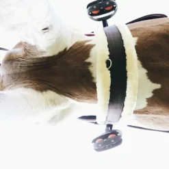 Kentucky Horsewear - Sangle mouton Best