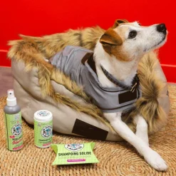 La Douche A Maouche - Shampoing solide pour chiens Sale