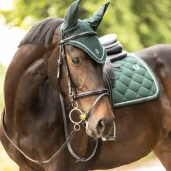 Lami-cell - Bonnet pour chevaux Luxin foncé Vert Discount