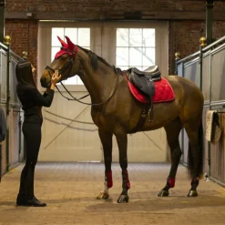 Lami-cell - Guêtres et protège-boulets Elite Rouge New