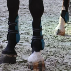 Lami-cell - Guêtres et protège-boulets Elite turquoise Bleu Clearance