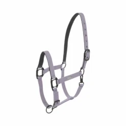 Lami-cell - Licol Midnight mauve Violet Outlet