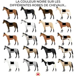 Lami-cell - Tapis de dressage Venus Noir Discount