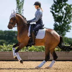 Clearance LeMieux - Bandes de polo Classic mist (x4) Bleu