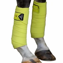 LeMieux - Bandes de polo Classic kiwi (x4) Vert Hot