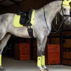 LeMieux - Bandes de polo Classic kiwi (x4) Vert Hot