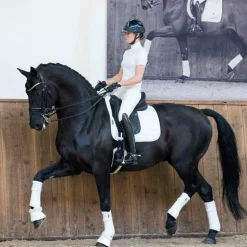 LeMieux - Bandes de polo Loire (x4) Blanc Outlet