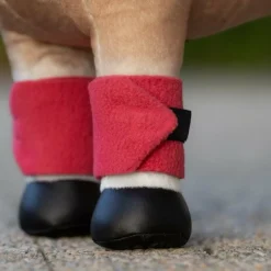 LeMieux - Bandes de polo pour peluche Toy Pony cranberry Rose Discount