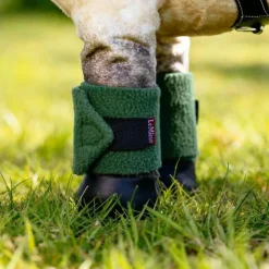 LeMieux - Bandes pour Toy Pony hunter green Vert