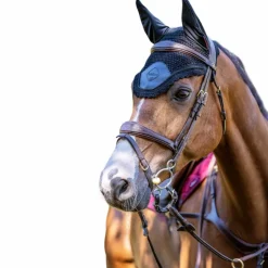 Best LeMieux - Bonnet pour chevaux Elite Noir