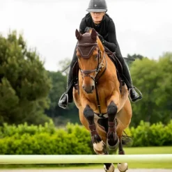 LeMieux - Bonnet pour chevaux Crystal Marron Online