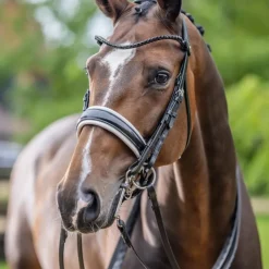 Online LeMieux - Bride Kudos / blanc Noir