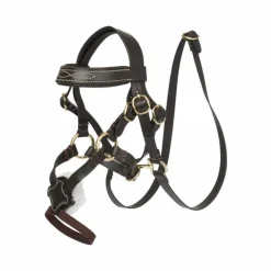 LeMieux - Bridon à muserolle croisée pour Toy Pony Grackle Marron Outlet