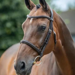 Sale LeMieux - Bridon Arika Cavesson / argent Marron