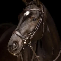 Outlet LeMieux - Bridon Arika muserolle basse / argent Marron