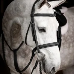 LeMieux - Bridon avec rênes Hunter / argent Noir Discount