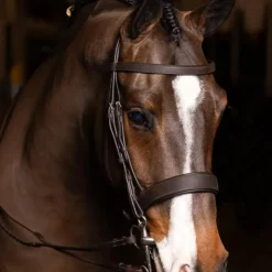 LeMieux - Bridon avec rênes Flat Hunter havane/ argent Marron