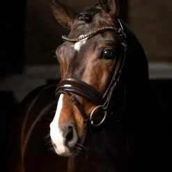 LeMieux - Bridon de dressage Kudos Patent Marron New