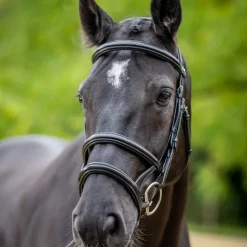 Best LeMieux - Bridon double muserolle Kudos / argent Noir