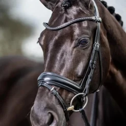 Sale LeMieux - Bridon Kudos Classic Dressage Noir