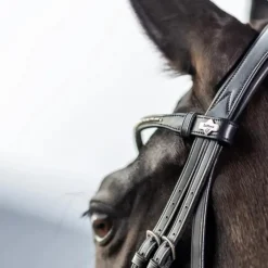 Sale LeMieux - Bridon Kudos Classic Dressage Noir