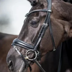Sale LeMieux - Bridon Kudos Classic Dressage Noir