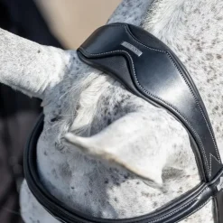 Discount LeMieux - Bridon Kudos Competition Flash Noir